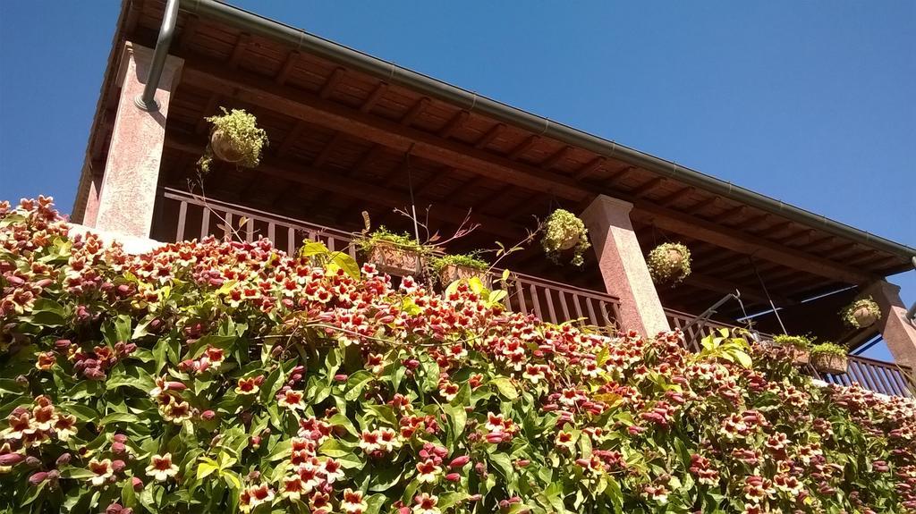 Bed And Breakfast Posserle 加达湖畔帕登赫 外观 照片